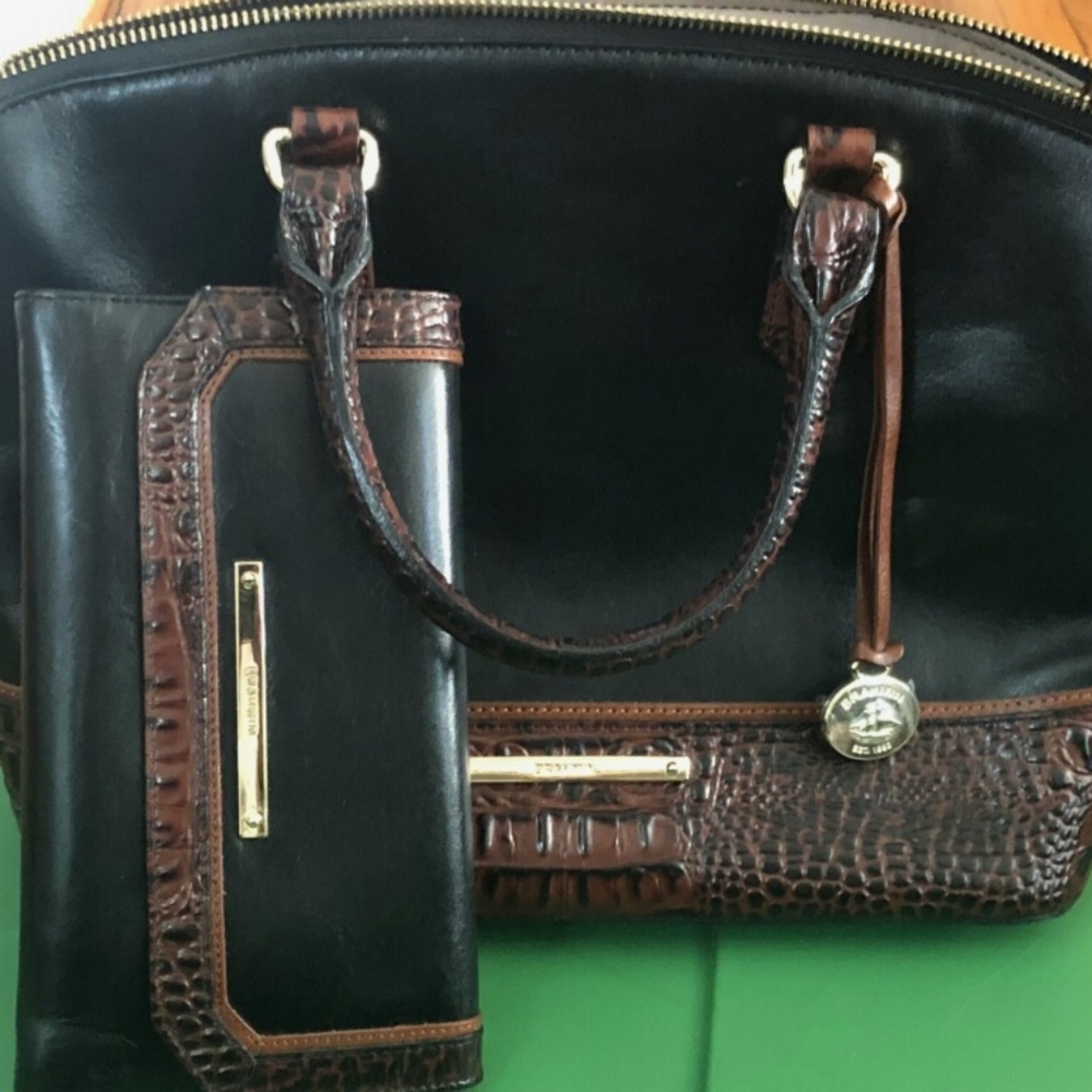 Brahmin, Michael Kors, and Louis Vuitton handbags